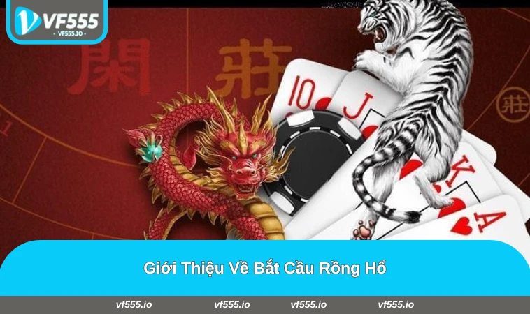 Bảng cầu rồng hổ dễ theo dõi