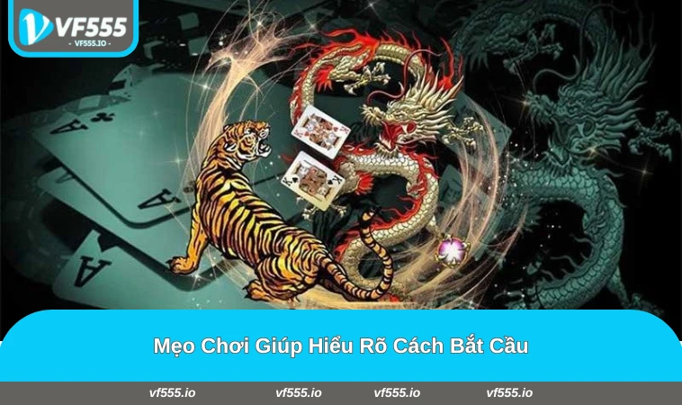Người chơi quan sát bảng cầu rồng hổ và đặt cược thông minh