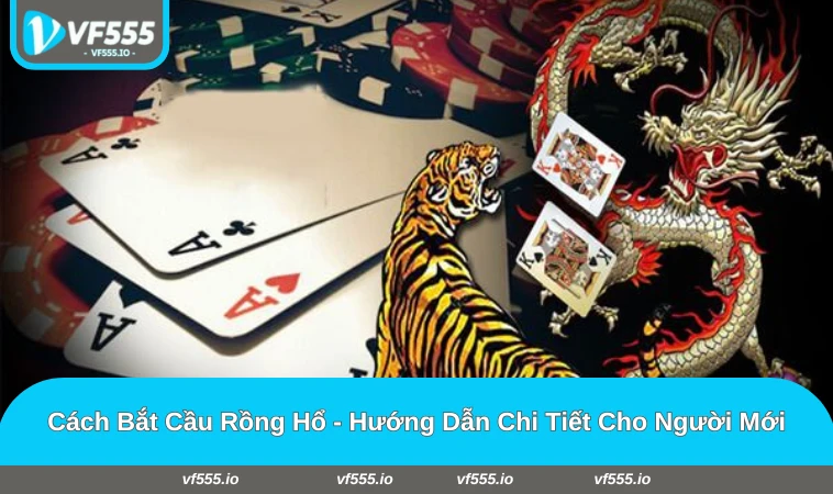 cách bắt cầu rồng hổ