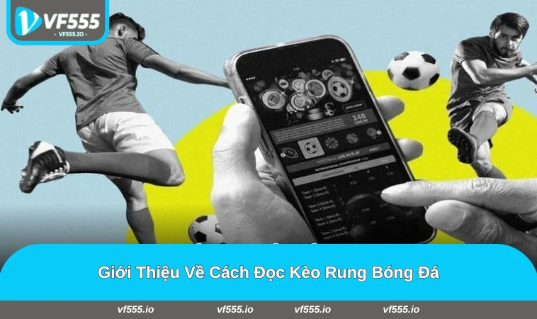 Các loại kèo rung phổ biến