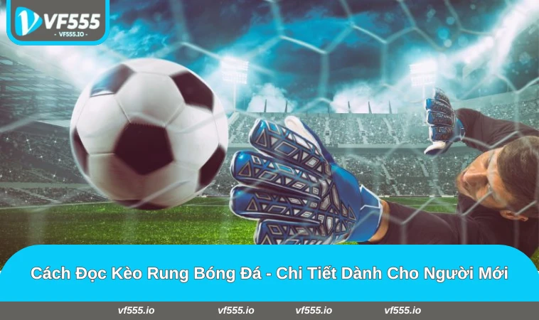 cách đọc kèo rung bóng đá