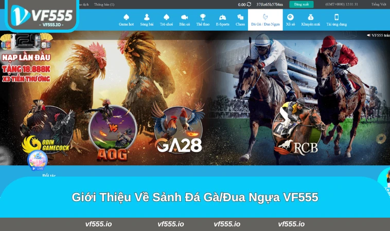 Giao diện sảnh đá gà và đua ngựa VF555
