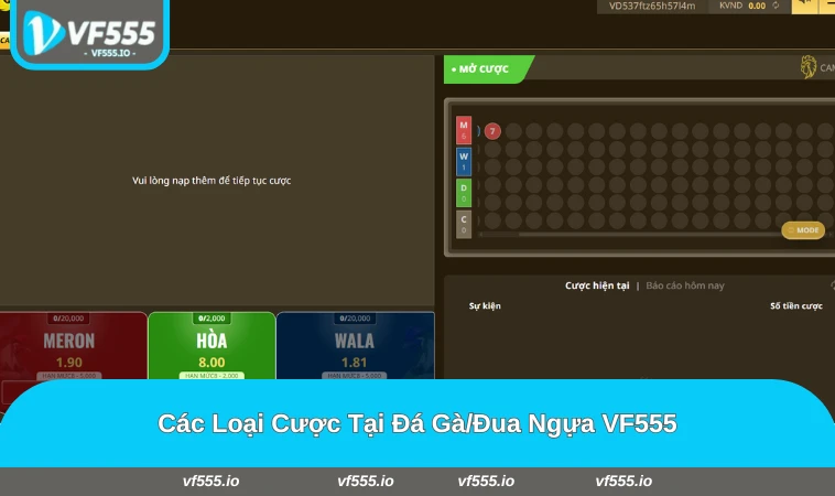 Các loại cược đá gà và đua ngựa tại VF555