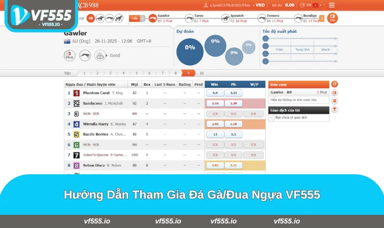 Các bước đăng ký, nạp tiền và đặt cược tại sảnh đá gà/đua ngựa