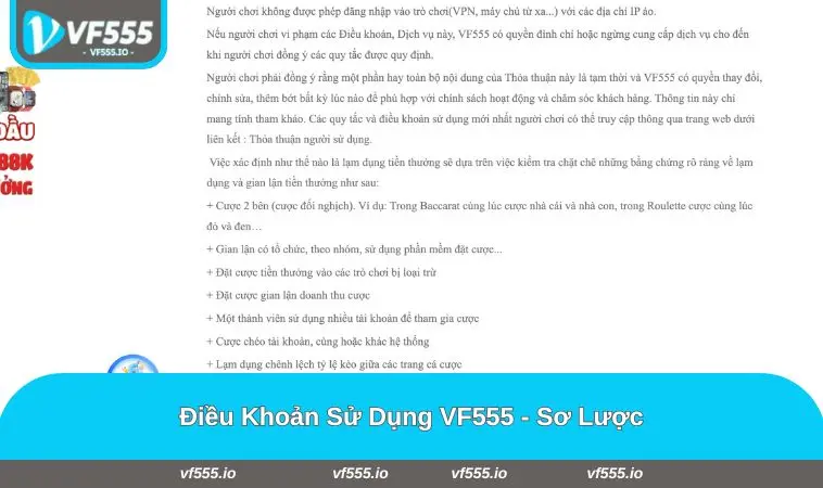 Thông tin cơ bản trong điều khoản sử dụng VF555