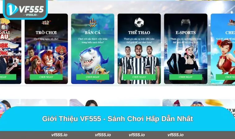Giới Thiệu VF555 2 Tổng hợp các sảnh cược hấp dẫn số 1