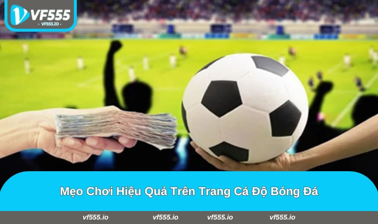 Người chơi quan sát trận và quản lý vốn khi đặt cược